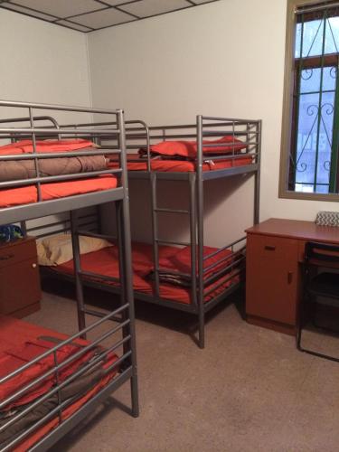 a room with three bunk beds in a room at Manhattan Bowery Lodge in New York