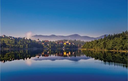 a view of a large lake with trees and houses at Stunning Home In Mrkopalj With Sauna in Mrkopalj