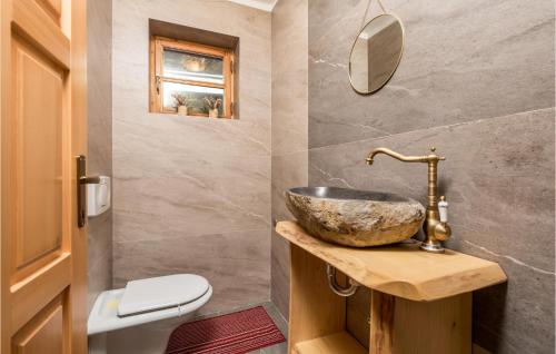 a bathroom with a sink and a toilet at Stunning Home In Mrkopalj With Sauna in Mrkopalj