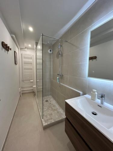 une salle de bain avec une douche, un lavabo et un miroir dans l'établissement Cosy Studio Centre Strasbourg, à Strasbourg
