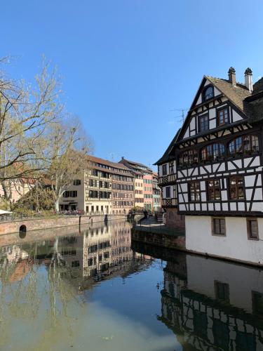 Studio cocoon hypercentre Carré d'or de Strasbourg