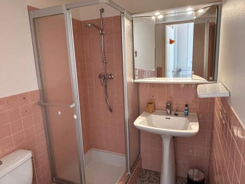 une salle de bain avec une douche et un lavabo et une douche dans l'établissement Studio cosy proche pistes ski avec parking et râtelier à skis - FR-1-692-105, à La Chapelle-dʼAbondance