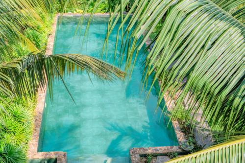 an overhead view of a swimming pool with a palm tree at Villa Lanka Relax in Hikkaduwa