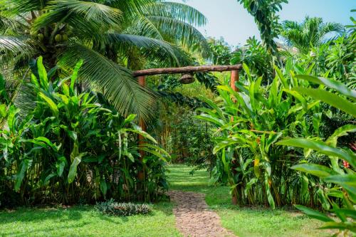 a path through a jungle with palm trees at Villa Lanka Relax in Hikkaduwa