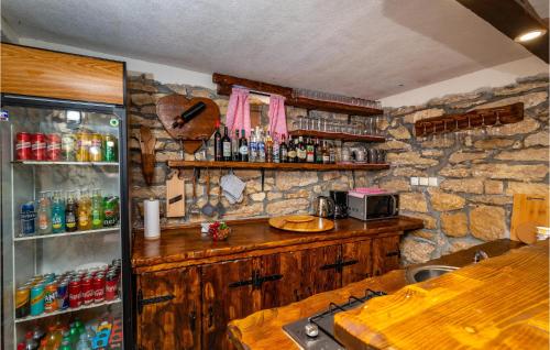 a kitchen with a refrigerator and a counter with drinks at Gorgeous Home In Zelengrad With Kitchen in Zelengrad
