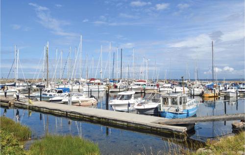 a bunch of boats docked at a marina at Beautiful Home In Sjællands Odde in Yderby