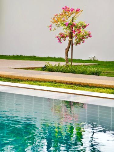 a tree with pink flowers next to a swimming pool at Krabi Private Pool Villa 2 by Belcarra Spaces in Ban Khlong Haeng