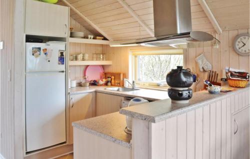 Η κουζίνα ή μικρή κουζίνα στο Nice Home In Vinderup With Kitchen