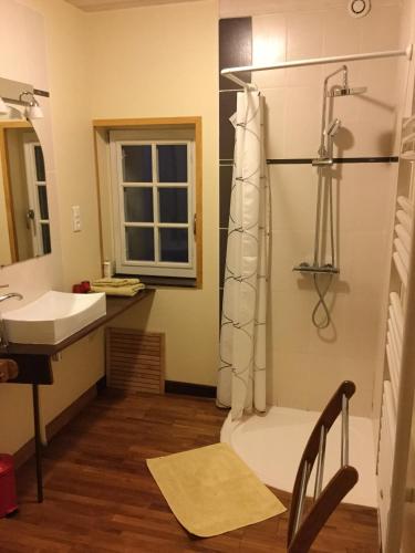 une salle de bain avec douche et lavabo dans l'établissement La Cotinière, à Grézillé
