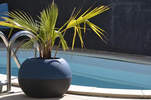 une plante dans un pot à côté d'une piscine dans l'établissement Grande chambre avec 4 lits pour 4 à 5 personnes, à Chef-Boutonne