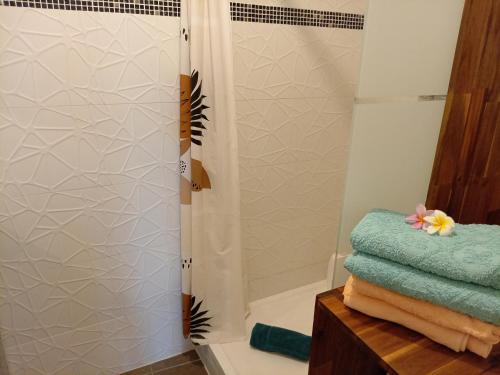 a bathroom with a shower and some towels at Location bord océan, Holi-Wood in Saint-Joseph