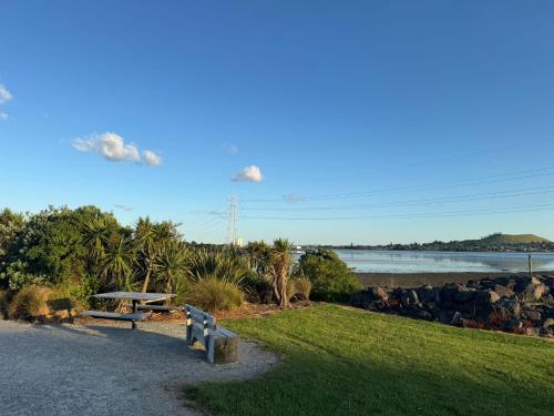 a park with two benches and a view of the water at Auckland City cozy Stay in Auckland