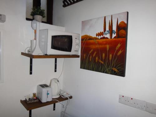 a room with a microwave and a painting on the wall at Enipnion Apartments in Kakopetria