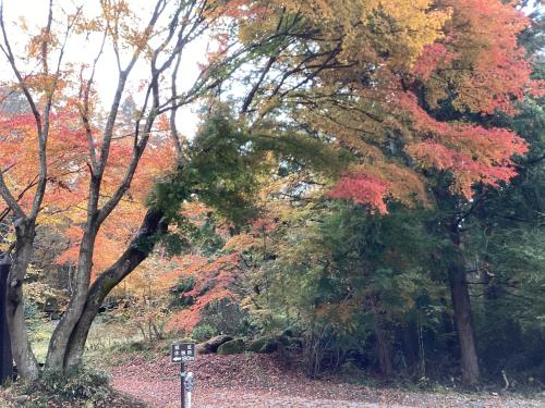 別荘の近くで見られる自然の景観