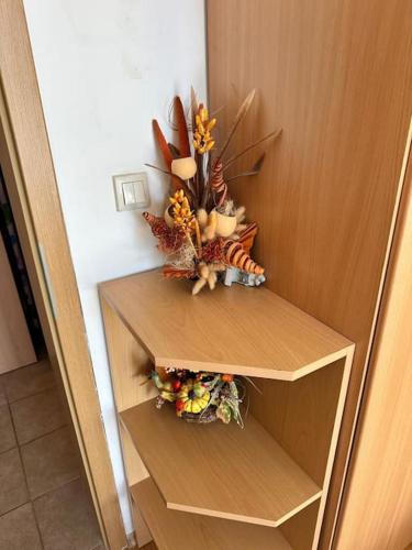a wooden shelf with a plant on top of it at Cozy apartmen with Mountain view in Bansko