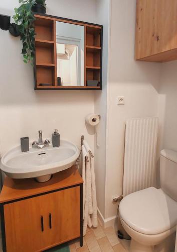 une salle de bain avec un lavabo, des toilettes et un miroir dans l'établissement Veronese, à Annecy