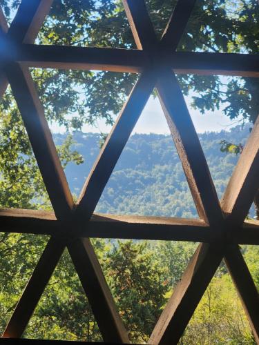 a view from the top of a wooden window with trees at Alto Locandieri in Montebagnolo