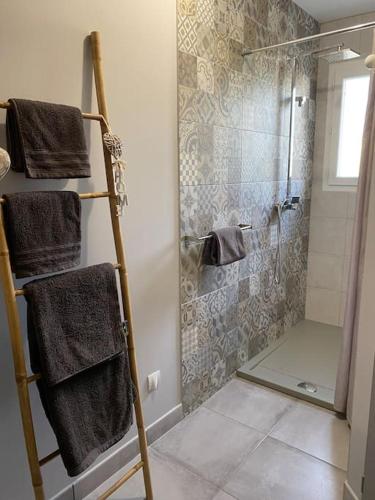 La salle de bains est pourvue d'une douche et de serviettes sur une échelle. dans l'établissement Studio tout confort au cœur des Graves, à Portets