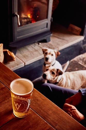 two dogs sitting in a dog bed in front of a fireplace at The Red Lion, Madley in Hereford