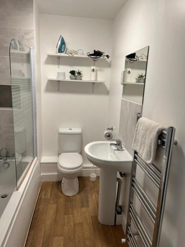 a bathroom with a toilet and a sink and a shower at YBC Court, Aldershot in Aldershot