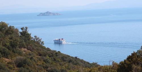 a boat floating on the water near a hill at Monolocale con veranda e giardino a Rio Marina in Rio Marina