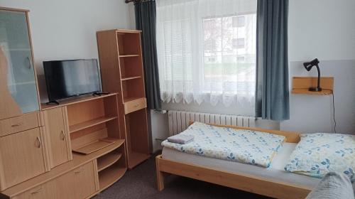 a bedroom with a bed and a tv and a window at Ubytování Velký Týnec 376 in Velký Týnec