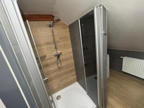 a shower with a glass door in a bathroom at Apartments Gato Karlovy Vary Jenišov in Karlovy Vary