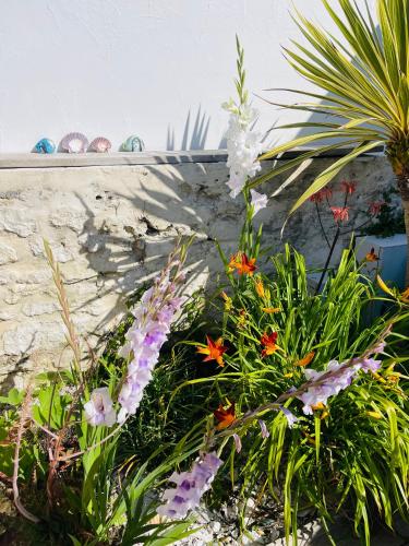 Taman di luar Clos des Aigrettes -6 Gîtes de charme et confort à 30m du Port de La Cotinière