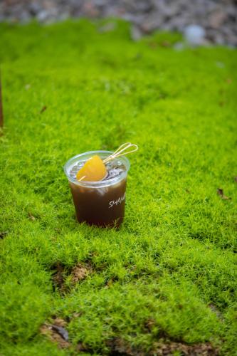 a drink with an orange on top of the grass at Shan Di B&B in Lijiang