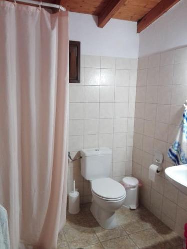 a bathroom with a toilet and a sink and a shower curtain at Lydia in Samos