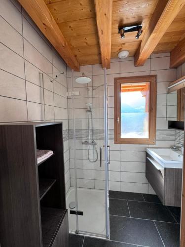 une salle de bain avec douche et lavabo dans l'établissement Le CarrozBlanc, à Peisey-Nancroix