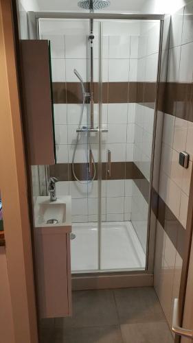 une salle de bain avec douche et lavabo dans l'établissement Logis Soupetard, à Toulouse