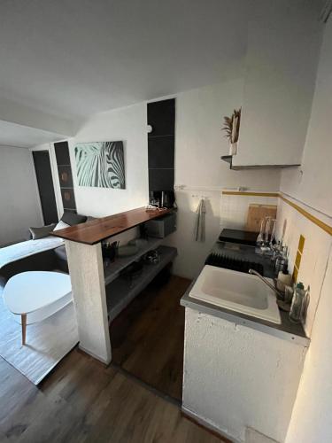 une petite cuisine avec un comptoir et un évier dans l'établissement Le Jean Jaurès - 50m de la Place de la Comédie, à Montpellier