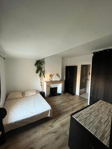 une chambre avec un lit et une cheminée dans l'établissement Le Jean Jaurès - 50m de la Place de la Comédie, à Montpellier