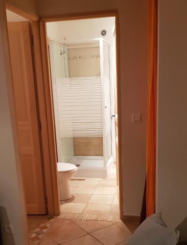 La salle de bains privative est pourvue d'une douche et de toilettes. dans l'établissement Le Ptit Ecrin - Rez de chalet à Ancelle - 6pers 2ch - jardin, à Ancelle