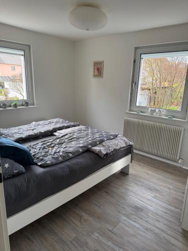 a bedroom with a bed and two windows at FeWo Tanja in Lindau