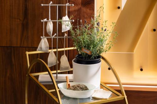 a plant in a white pot on a table at AC Hotel by Marriott Newtown Square in Newtown Square