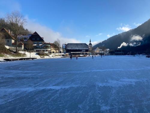 a group of people skating on a frozen lake at Seegasthof Breineder - Familien & Seminarhotel in Mönichwald
