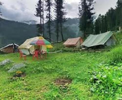 a group of tents in a grassy field with an umbrella at Jispa Journey Camp Lahoul & Spiti in Manāli