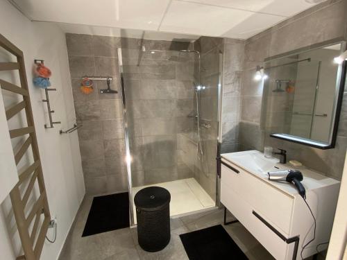 a bathroom with a shower and a sink at T3 neuf au pied des Tours du Château in Châteaurenard