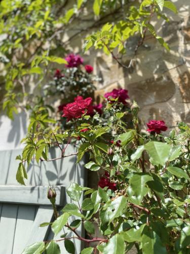 Une bande de roses rouges dans une fenêtre dans l'établissement Le Domaine de La Tuilerie - Gite de charme en bord de riviere avec piscine, à Serviès-en-Val
