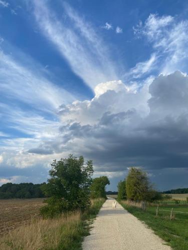 a dirt road in the middle of a field at Gîte d'exception - Manoir de Sacquenay in Sacquenay