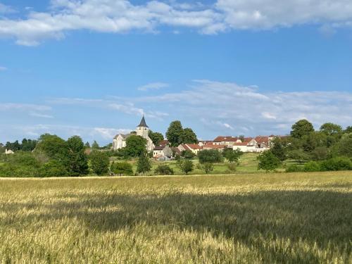 a field of grass with a castle in the background at Gîte d'exception - Manoir de Sacquenay in Sacquenay