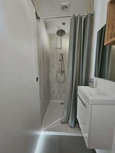 une salle de bain blanche avec une douche et un lavabo dans l'établissement Gîte La Capitainerie, à Offendorf