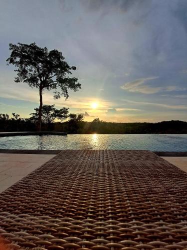 a tree in front of a body of water at Kubuhill Sunset Bungalow in Nusa Penida