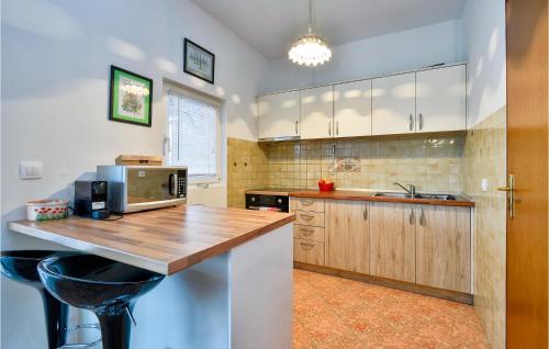 a kitchen with a counter top with a microwave at Gorgeous Home In Mirkopolje With Wifi in Trg