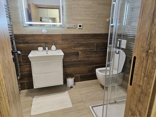 a bathroom with a toilet and a sink and a mirror at Mlýn Herlíkovice in Hořejší Vrchlabí