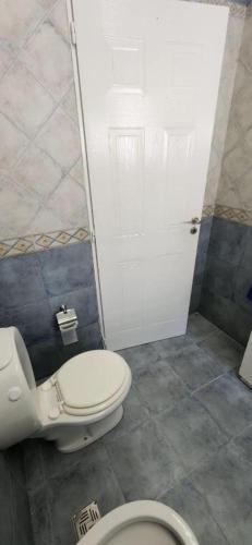 a bathroom with a toilet and a white door at Tigre Centro Cochera Gratis in Tigre