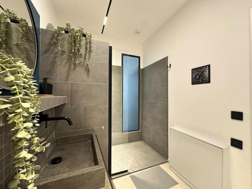 une salle de bain avec douche et lavabo dans l'établissement Le Big Stork - Appartement - Centre Historique, à Colmar