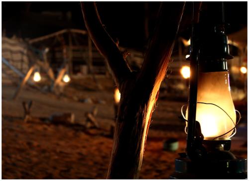 a light bulb attached to a tree with lights at Bedouin Oasis Desert Camp- Ras Al Khaimah in Ras al Khaimah